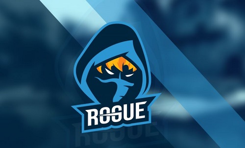 Rogue eSports Team Change the Game - NZ Gaming