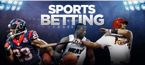 New Zealand Sports Betting Sites